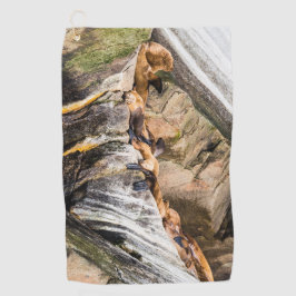 岩の上に横たわるアシカ ゴルフタオル