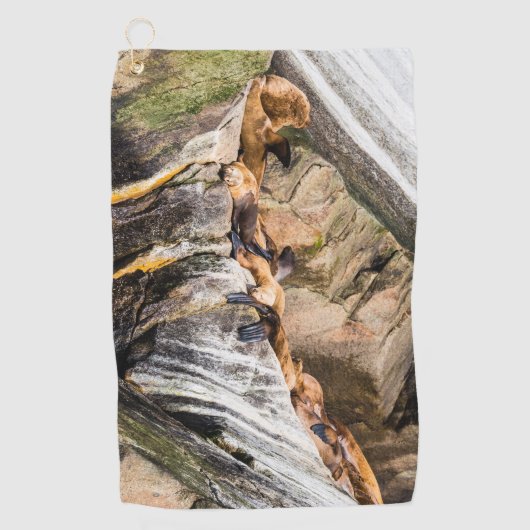 岩の上に横たわるアシカ ゴルフタオル (正面)