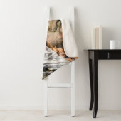 岩の上に横たわるアシカ シェルパブランケット (インサイチュ)