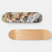 岩の上に横たわるアシカ スケートボード (横)