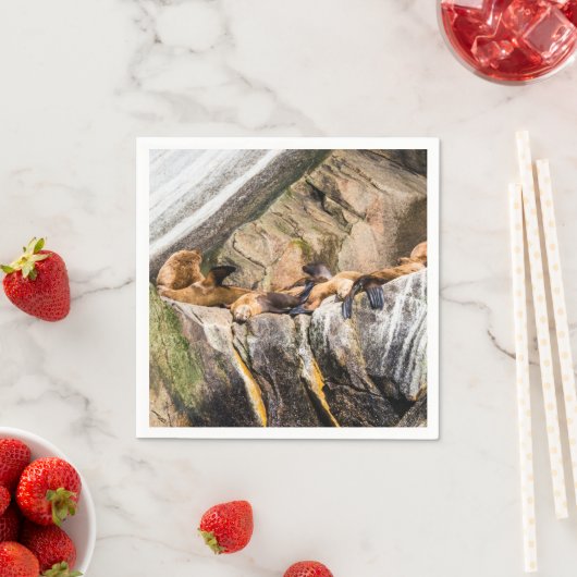 岩の上に横たわるアシカ スタンダードカクテルナプキン (インサイチュ)