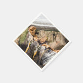 岩の上に横たわるアシカ スタンダードカクテルナプキン (角)