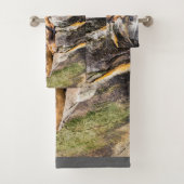 岩の上に横たわるアシカ バスタオルセット (インサイチュ)