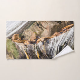 岩の上に横たわるアシカ バスタオルセット