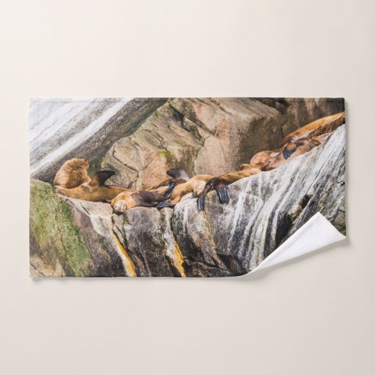 岩の上に横たわるアシカ バスタオルセット (ハンドタオル)
