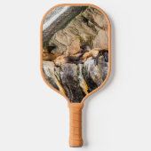 岩の上に横たわるアシカ ピックルボールラケット (正面)