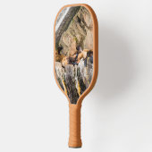 岩の上に横たわるアシカ ピックルボールラケット (左)