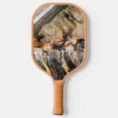 岩の上に横たわるアシカ ピックルボールラケット (裏面)