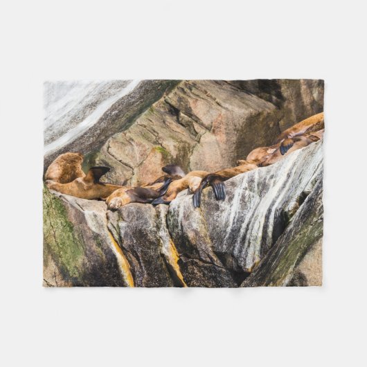 岩の上に横たわるアシカ フリースブランケット (正面(横))