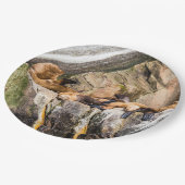 岩の上に横たわるアシカ ペーパープレート (アングル)