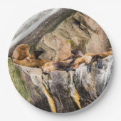 岩の上に横たわるアシカ ペーパープレート (正面)