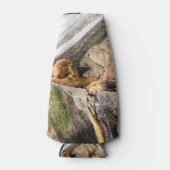 岩の上に横たわるアシカ ボトルクーラー (正面)