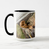 岩の上に横たわるアシカ マグカップ (左)