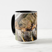 岩の上に横たわるアシカ マグカップ (正面左)