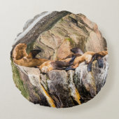 岩の上に横たわるアシカ ラウンドクッション (正面)