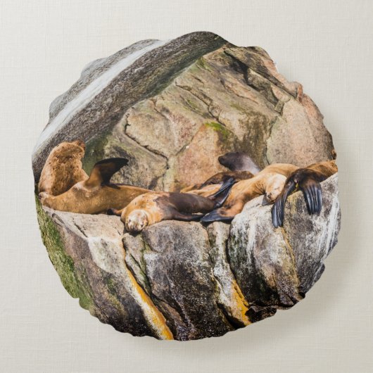 岩の上に横たわるアシカ ラウンドクッション (裏面)