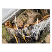 岩の上に横たわるアシカ ラージペーパーバッグ (裏面)