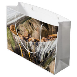 岩の上に横たわるアシカ ラージペーパーバッグ