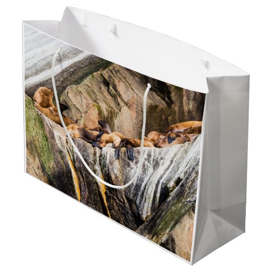 岩の上に横たわるアシカ ラージペーパーバッグ (裏面アングル)