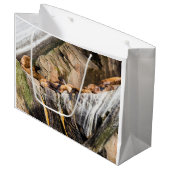 岩の上に横たわるアシカ ラージペーパーバッグ (正面アングル)