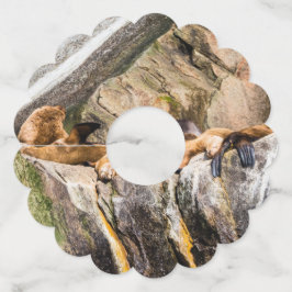 岩の上に横たわるアシカ ワイングラスタグ