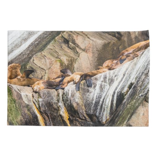 岩の上に横たわるアシカ 枕カバー (裏面)