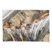 岩の上に横たわるアシカ 枕カバー (正面)