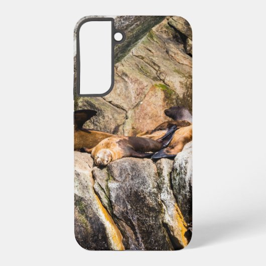 岩の上に横たわるアシカ SAMSUNG GALAXYケース (裏面)