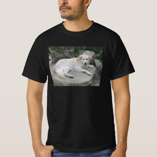 岩の上に横たわる犬 Tシャツ (正面)