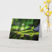 岩の上に生える苔のグリーティングカード カード (黄色い花)