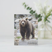 岩の上に立つコディアックベア ポストカード (スタンド正面)