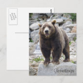岩の上に立つコディアックベア ポストカード (正面/裏面)