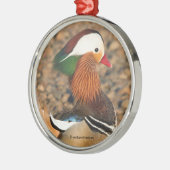 岩の上に見えるミカンの美しい鴨 メタルオーナメント (左)