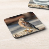 岩の上に赤い猫背のタカ コースター (左側)