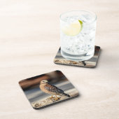 岩の上に赤い猫背のタカ コースター (右側)