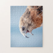 岩の上に赤い猫背のタカ ジグソーパズル (縦)