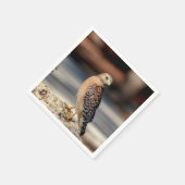 岩の上に赤い猫背のタカ スタンダードカクテルナプキン (角)