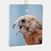 岩の上に赤い猫背のタカ セラミックオーナメント (右)