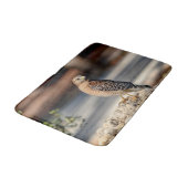 岩の上に赤い猫背のタカ バスマット (アングル)