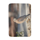 岩の上に赤い猫背のタカ バスマット (正面縦)