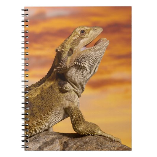 岩の上に髭を生やした竜(ポゴナ・ビチeps) ノートブック (正面)