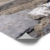 岩の上に黄色い脚のカモメ ポスター (角)