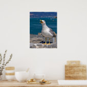 岩の上に黄色い脚のカモメ ポスター (キッチン)