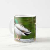 岩の上のアヒル コーヒーマグカップ (正面左)