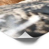 岩の上のアルパインマーモート フォトプリント            (角)