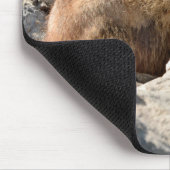 岩の上のアルパインマーモート マウスパッド (コーナー)