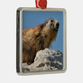 岩の上のアルパインマーモート メタルオーナメント (右)