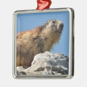 岩の上のアルパインマーモート メタルオーナメント (左)