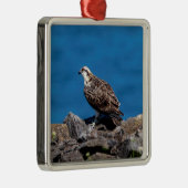 岩の上のオスプレイ メタルオーナメント (右)