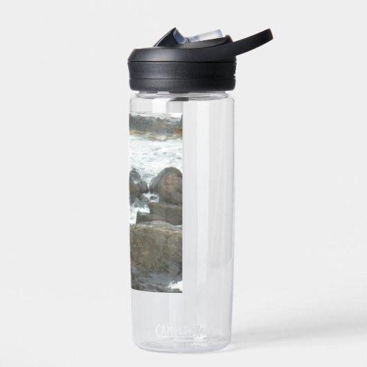 岩の上のカモメ ウォーターボトル (左面)